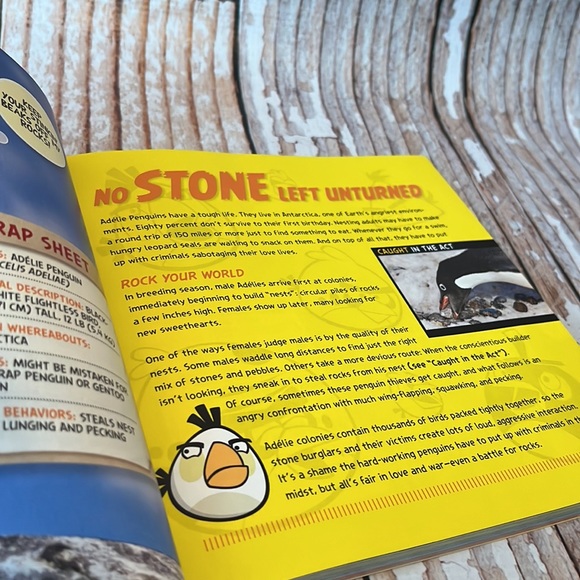 National Geographic: Angry Birds - Picture 2 of 8